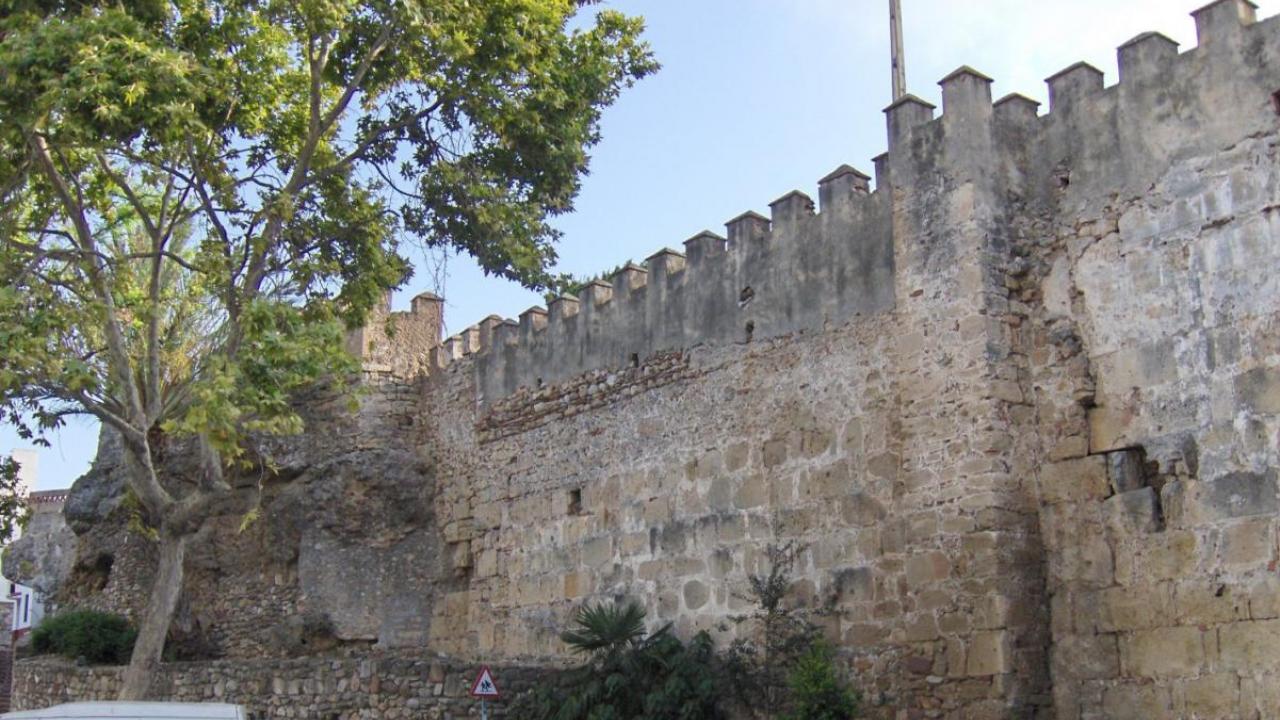 historic wall