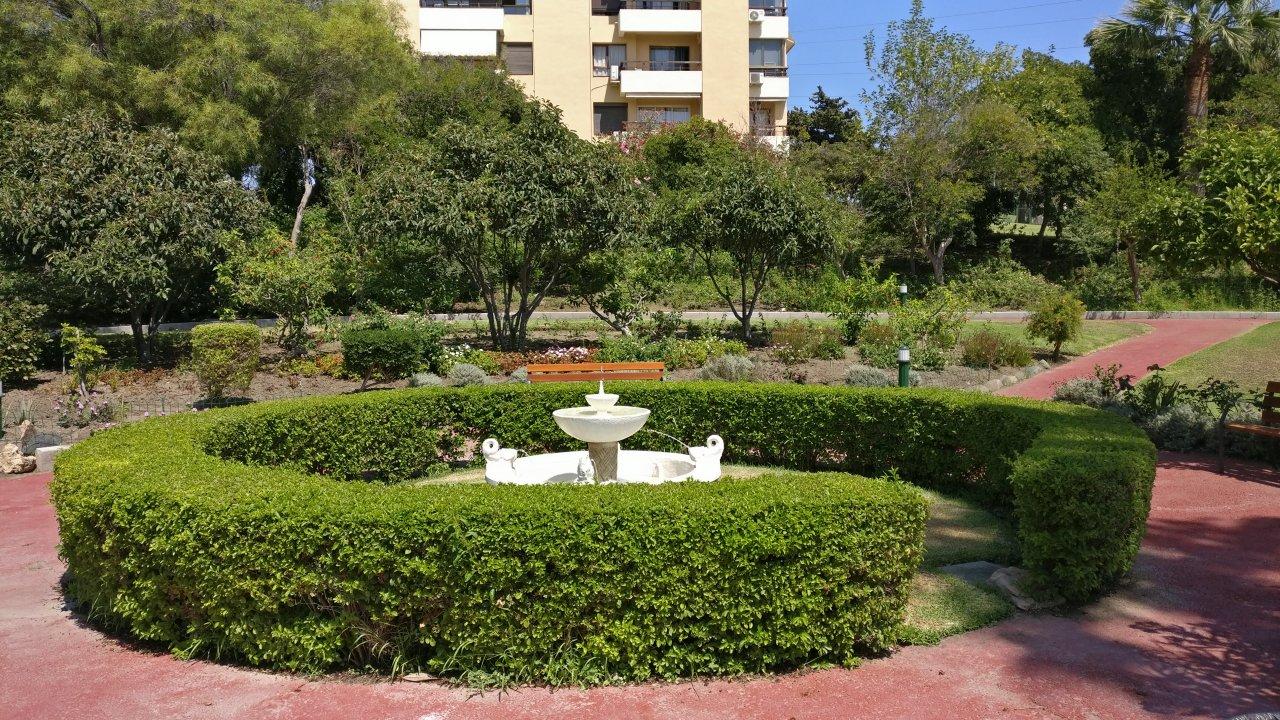 formal garden